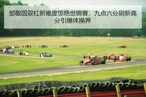 邹敬园双杠新难度惊艳世锦赛，九点六分刷新高分引爆体操界